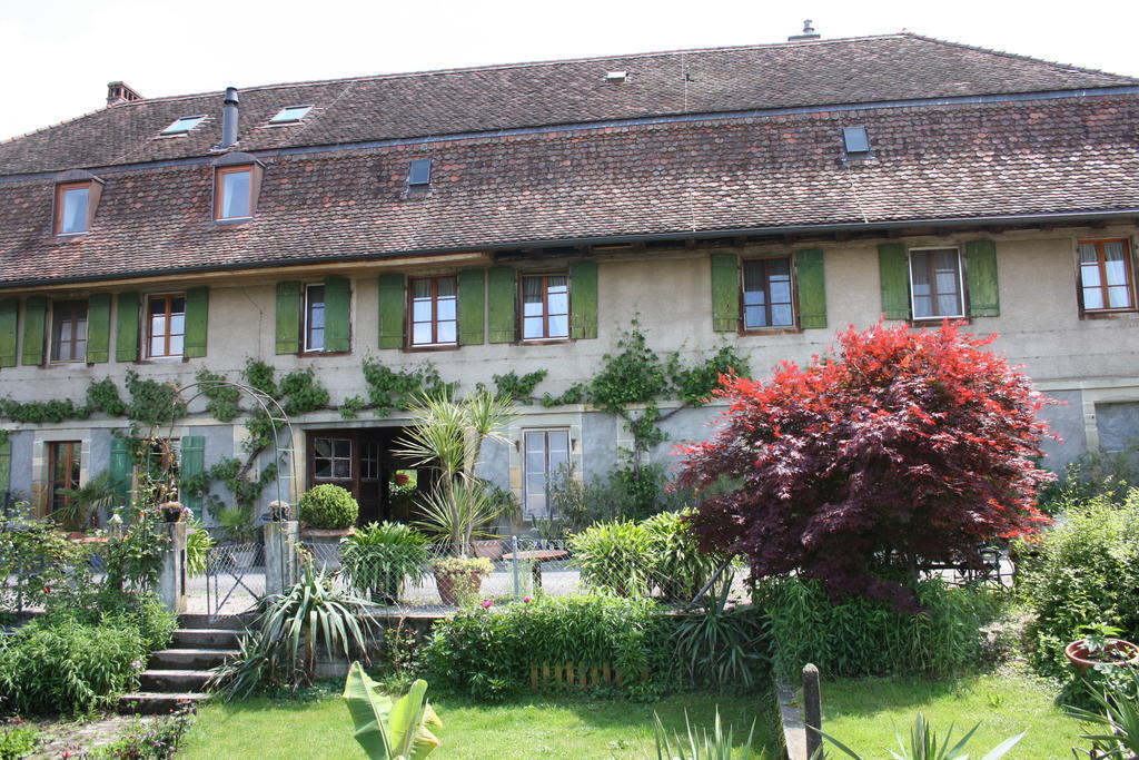 Ofenhaus Villa Murten Cameră foto